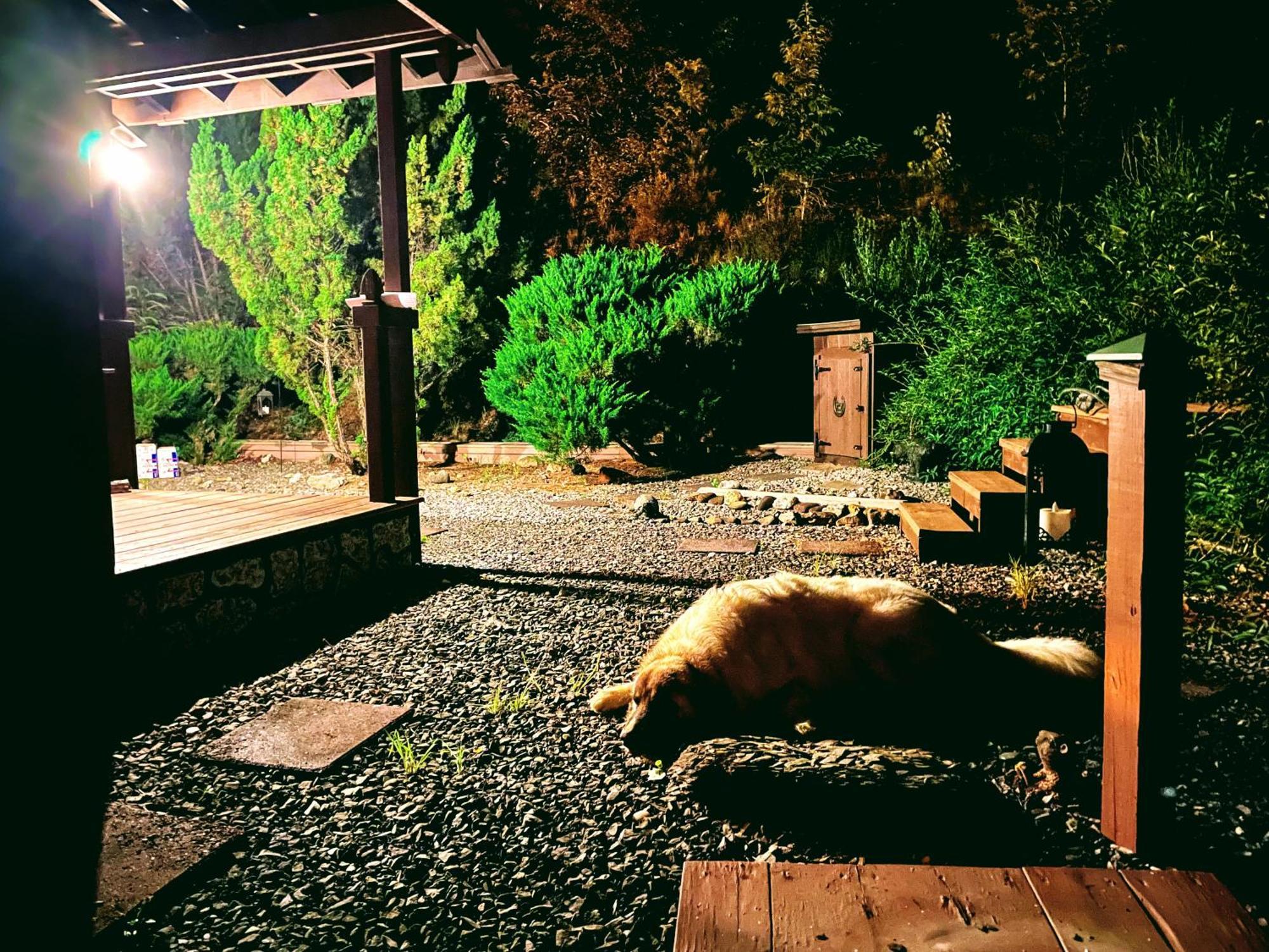 Tiny House, Wifi,Hot Tub,Secluded Villa Cosby Eksteriør billede